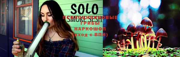 спайс Баксан