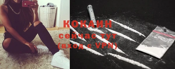 ПСИЛОЦИБИНОВЫЕ ГРИБЫ Балабаново