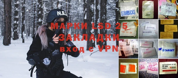 ПСИЛОЦИБИНОВЫЕ ГРИБЫ Балабаново
