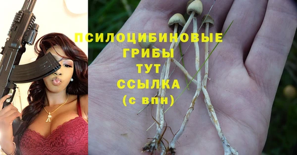 Альфа ПВП Белокуриха