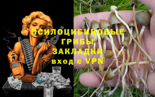 ПСИЛОЦИБИНОВЫЕ ГРИБЫ Балабаново