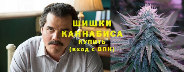 Альфа ПВП Белокуриха